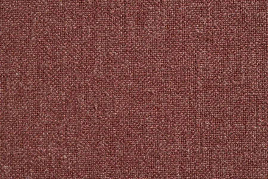 IKIGAI 8981